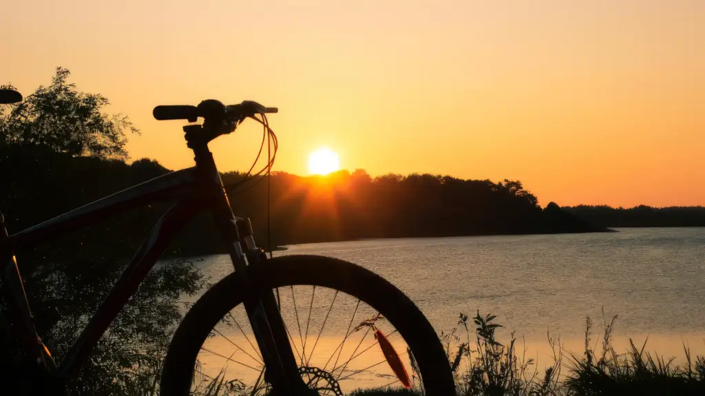 Bicycle beside Lake Karapiro at sunset